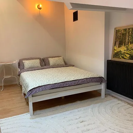 Apartment Attic Stare *